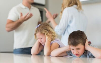 FACTORES DE RIESGO PARA LOS HIJOS EN EL DIVORCIO