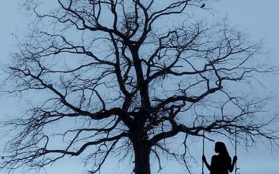 DESDE TU ÁRBOL GENEALÓGICO