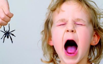 NO OBLIGUES A TU HIJO A ENFRENTAR EL MIEDO