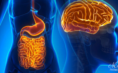 ¿POR QUÉ DECIMOS QUE EL INTESTINO ES NUESTRO SEGUNDO CEREBRO?